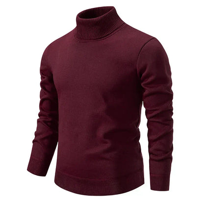Pull à Col Roulé Classique pour Homme